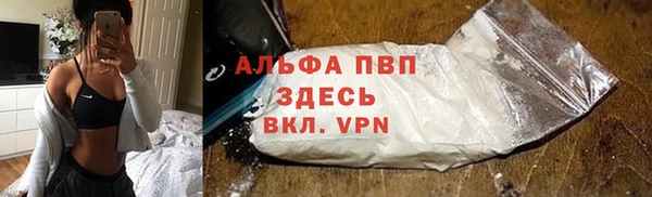 твердый Пересвет
