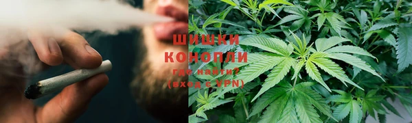 твердый Пересвет
