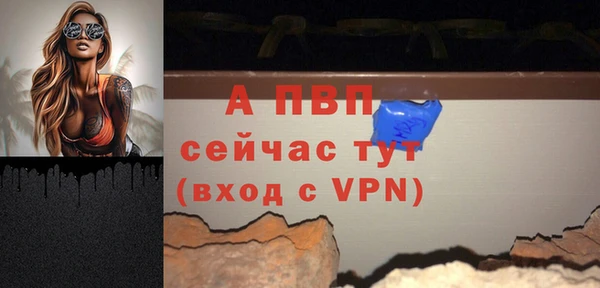 твердый Пересвет
