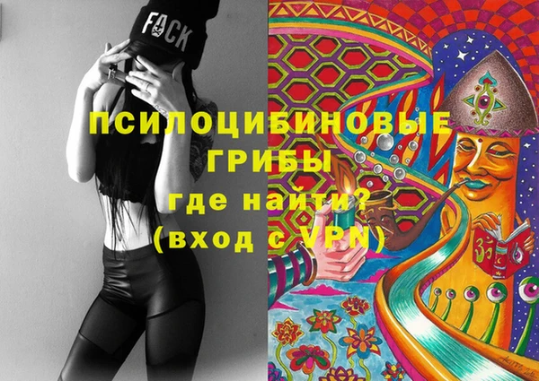 твердый Пересвет