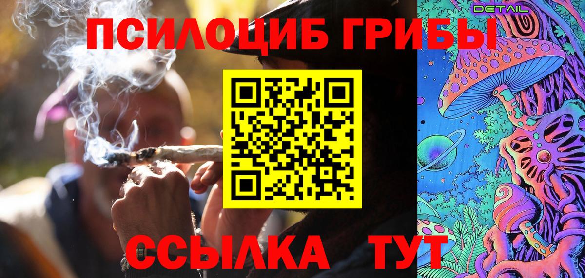 Галлюциногенные грибы Psilocybine cubensis Амурск