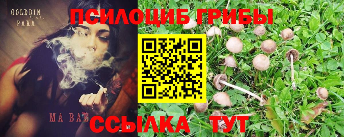 Галлюциногенные грибы GOLDEN TEACHER Амурск
