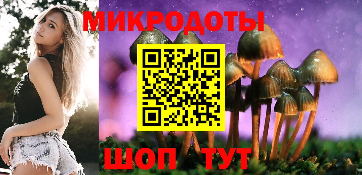 Амурск  Псилоцибиновые грибы Psilocybe  Вход с VPN 
