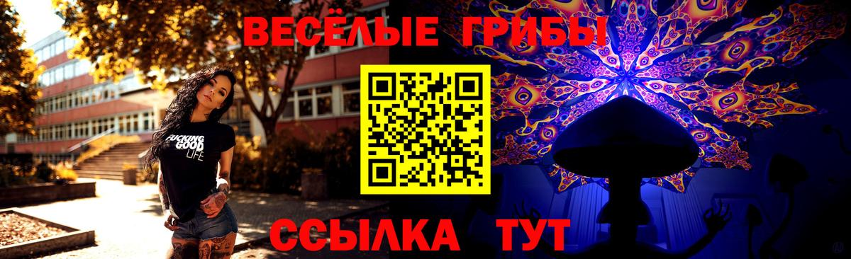 Псилоцибиновые грибы Cubensis  Амурск 