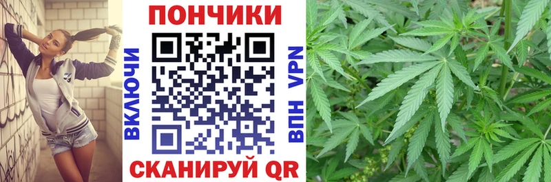 Бошки марихуана марихуана  купить наркотики цена  Амурск 